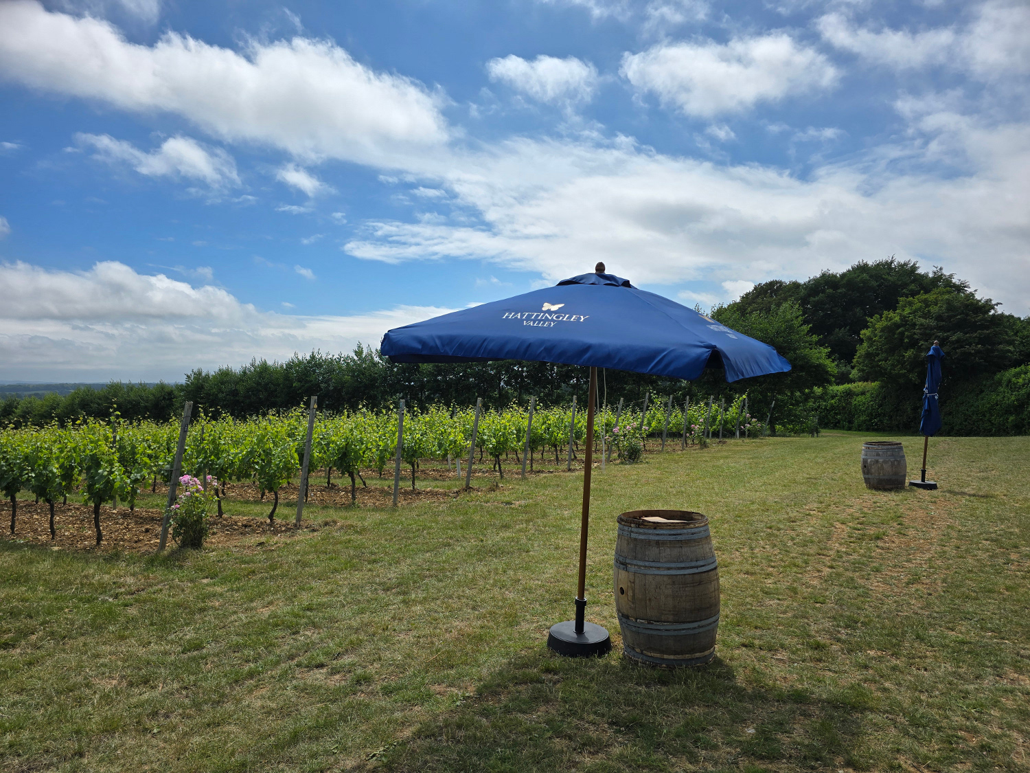 Hattingley Valley Hattingley